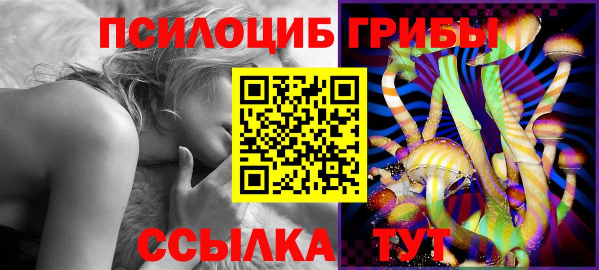 Псилоцибиновые грибы мицелий  Вход с VPN  Луховицы  Псилоцибиновые грибы Psilocybine cubensis 