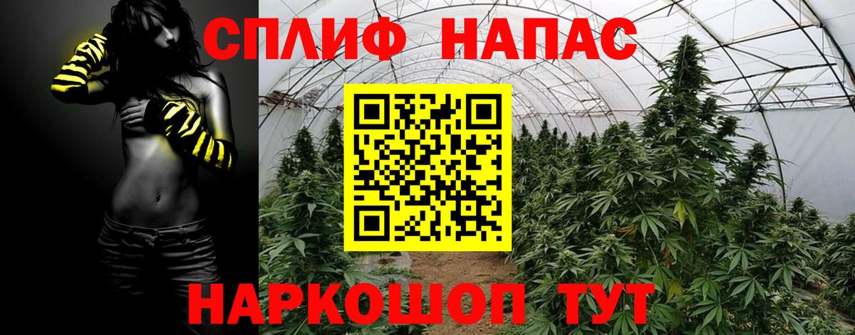 Шишки марихуана планчик Луховицы